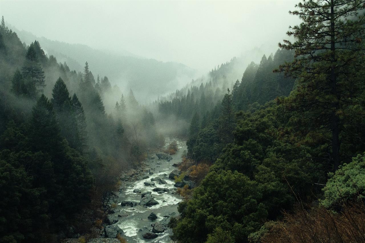 Photo 974559